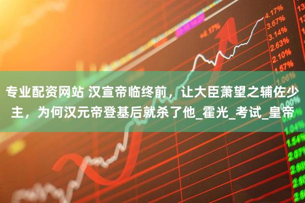 专业配资网站 汉宣帝临终前，让大臣萧望之辅佐少主，为何汉元帝登基后就杀了他_霍光_考试_皇帝