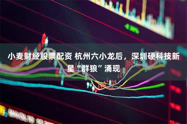 小麦财经股票配资 杭州六小龙后，深圳硬科技新星“群狼”涌现